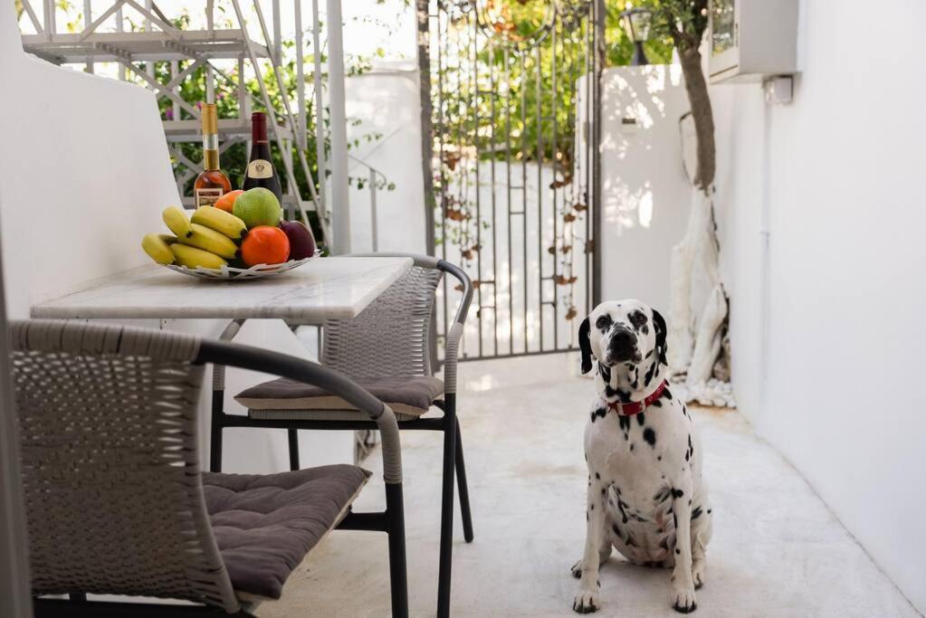 Villa Artemis Cycladic Charmed ! Ateny Zewnętrze zdjęcie